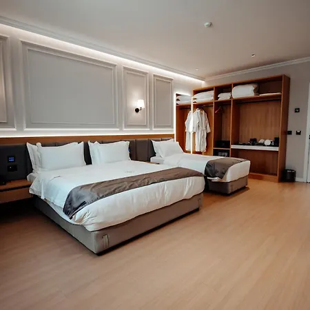 Holiday Hotel فندق 4*